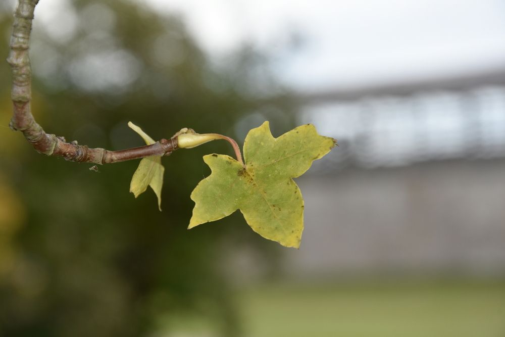 Photograph by Юлия Ю