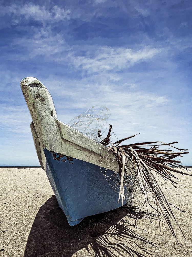 Фотография автора christiano gripp