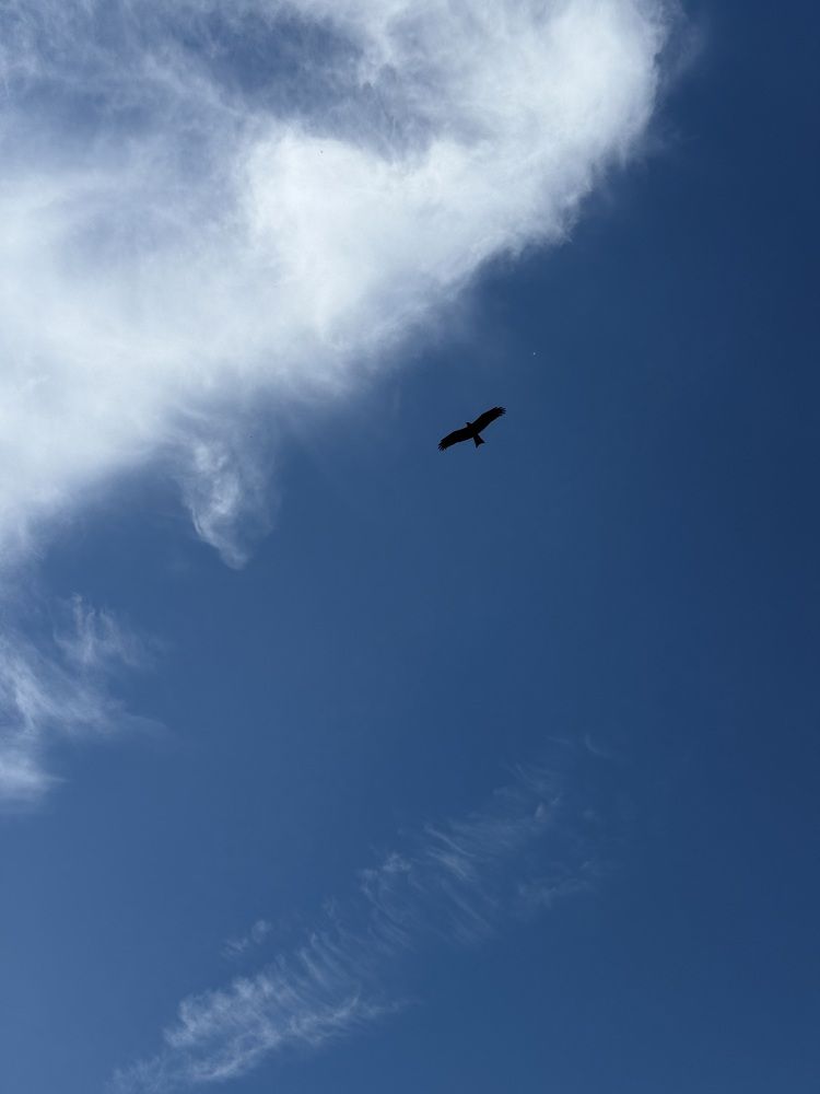 Photograph by Маргарита Лаптева