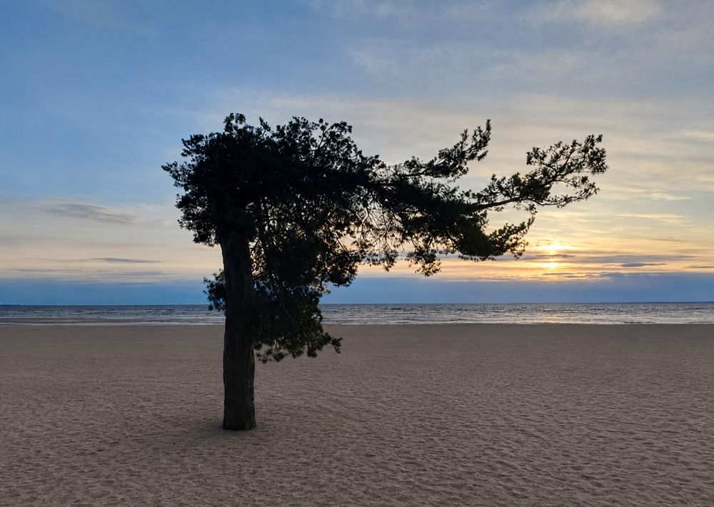 Photograph by Татьяна Бойцова