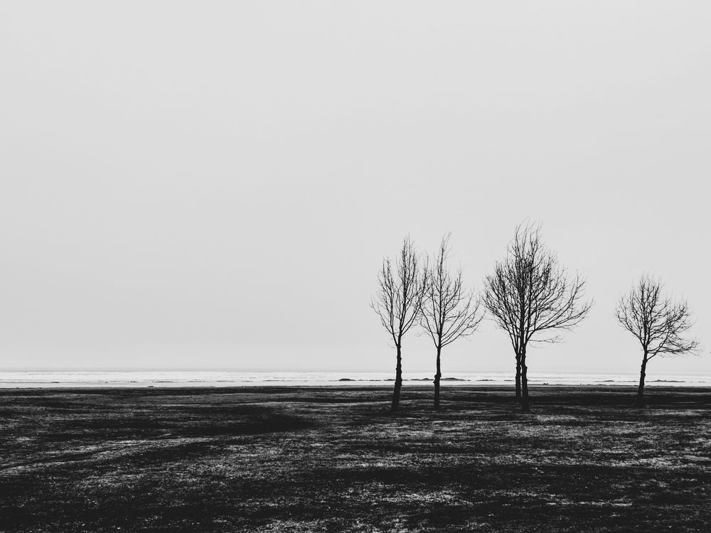 Photograph by Татьяна Бойцова