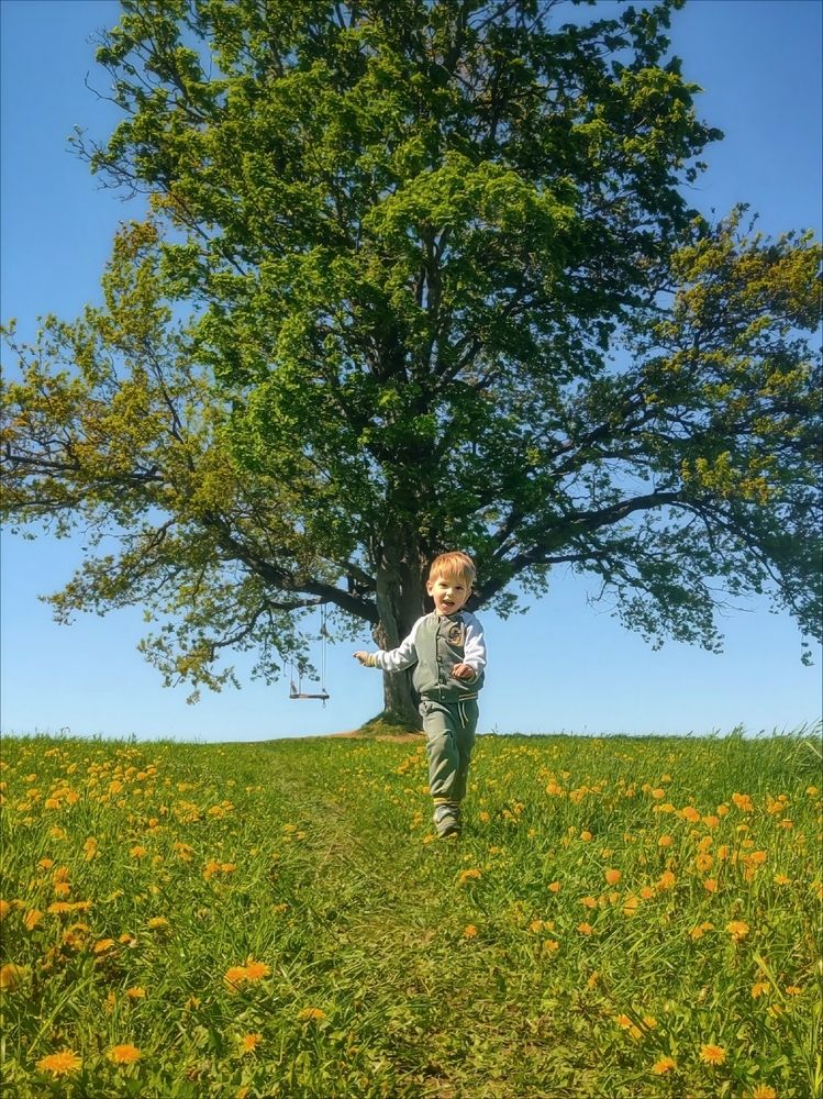 Photograph by Мария Самохвалова