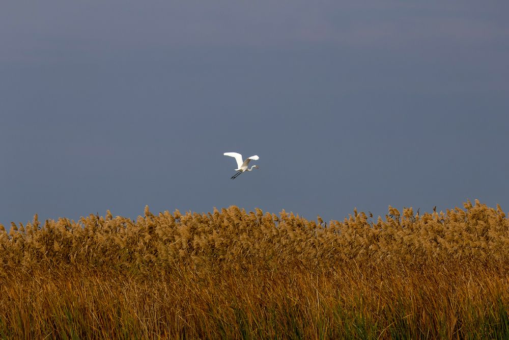 Photograph by Tania Iserson