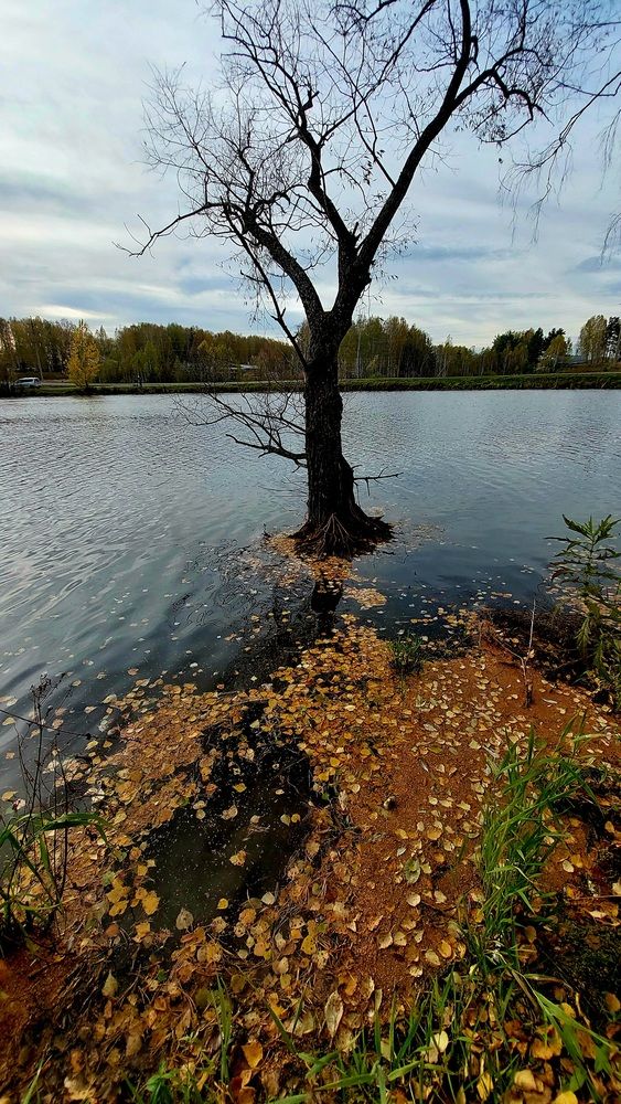 Photograph by Галина Мазур