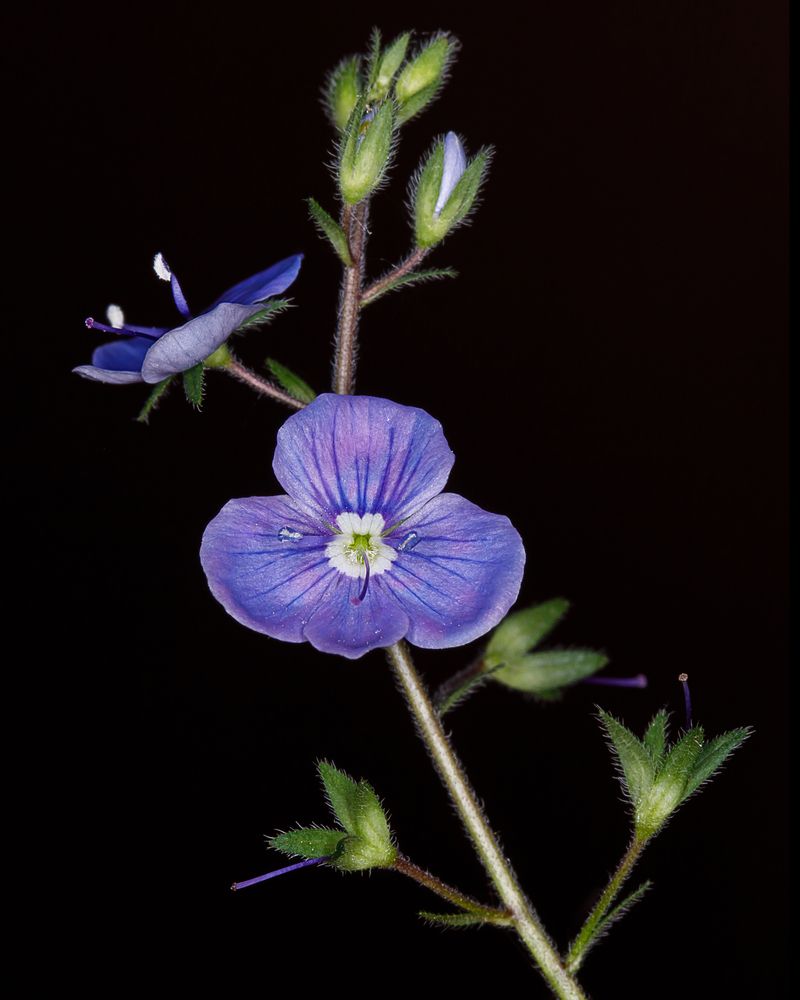 Photograph by Тоцкий Михаил