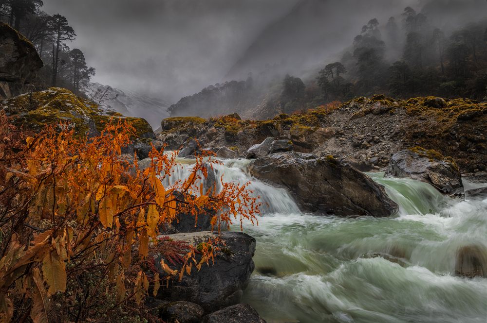 Photograph by guntis zebergs