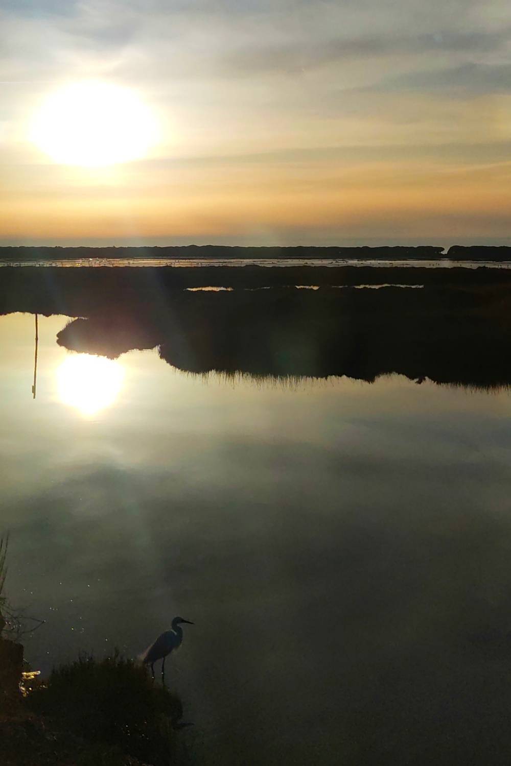 Photo #13679703
