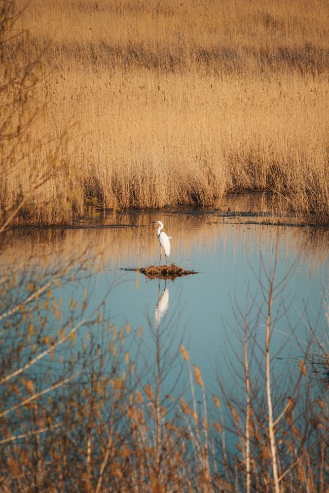 Photograph by Софья Гелевера