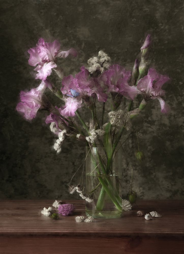 Photograph by Dina Ginevich