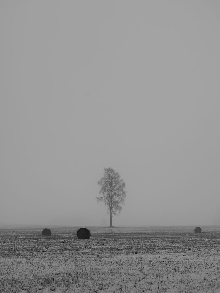 Фотография автора Pussa Vitaly