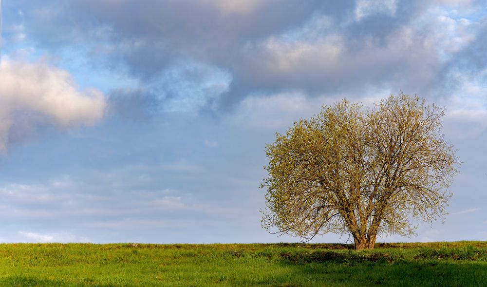 Photograph by Алексей Фрилунд