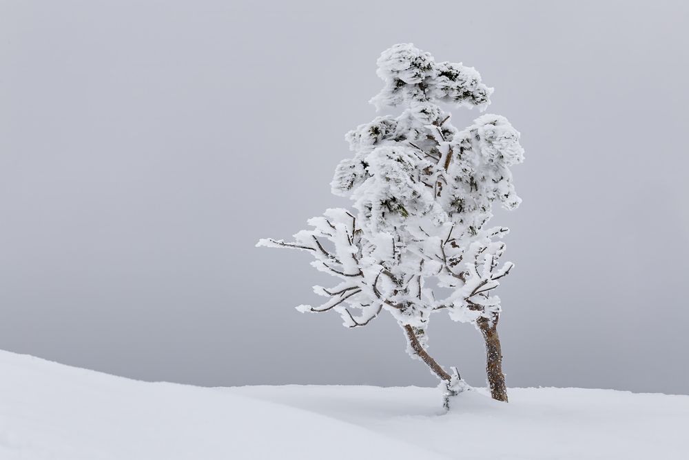 Photograph by Алексей Фрилунд