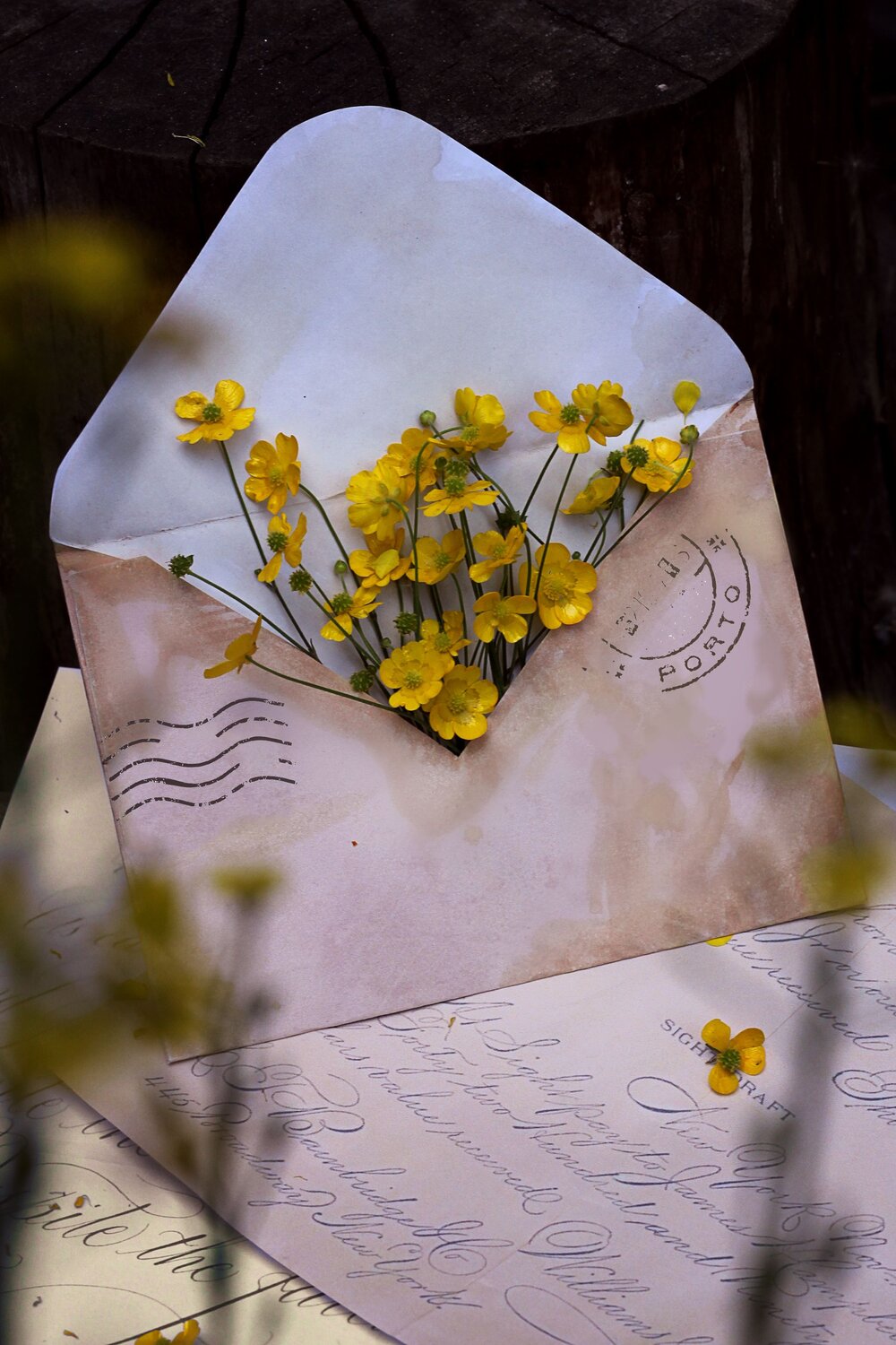 Photo #13680027