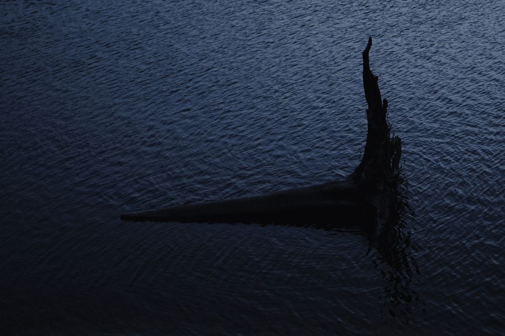 Photograph by G Shish