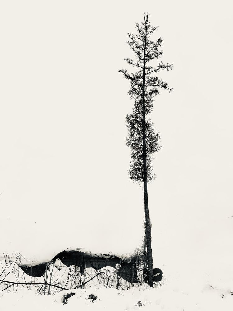 Photograph by Татьяна Шитлина