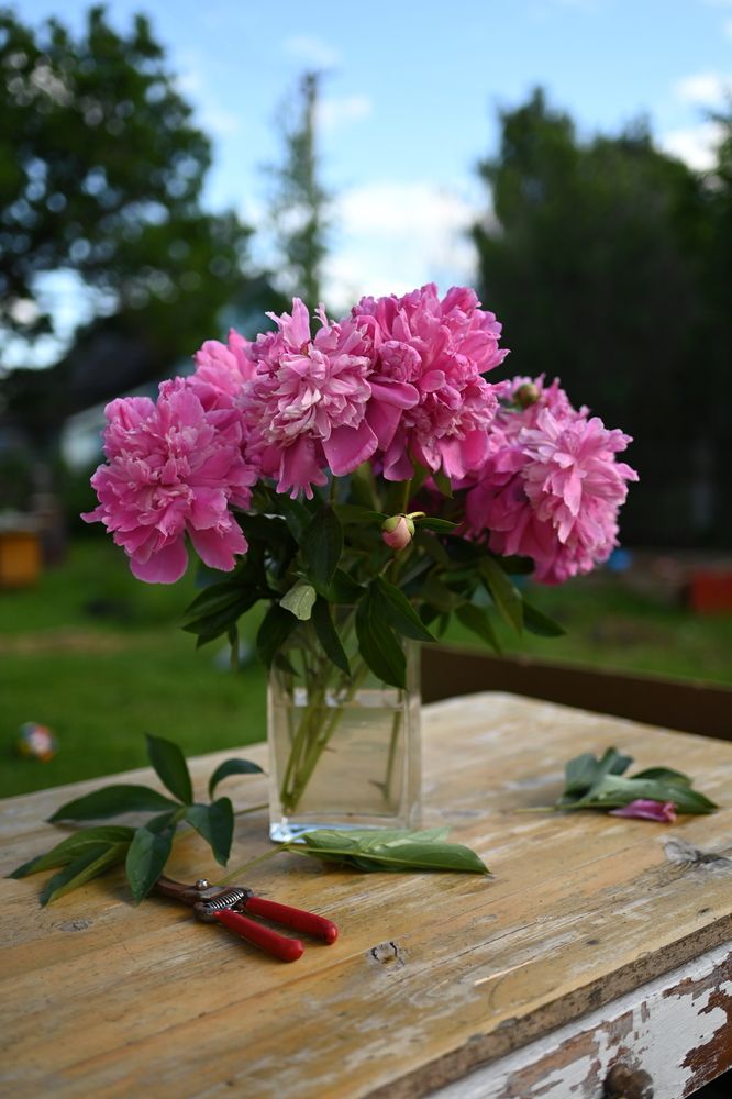 Photograph by Оксана Артимович