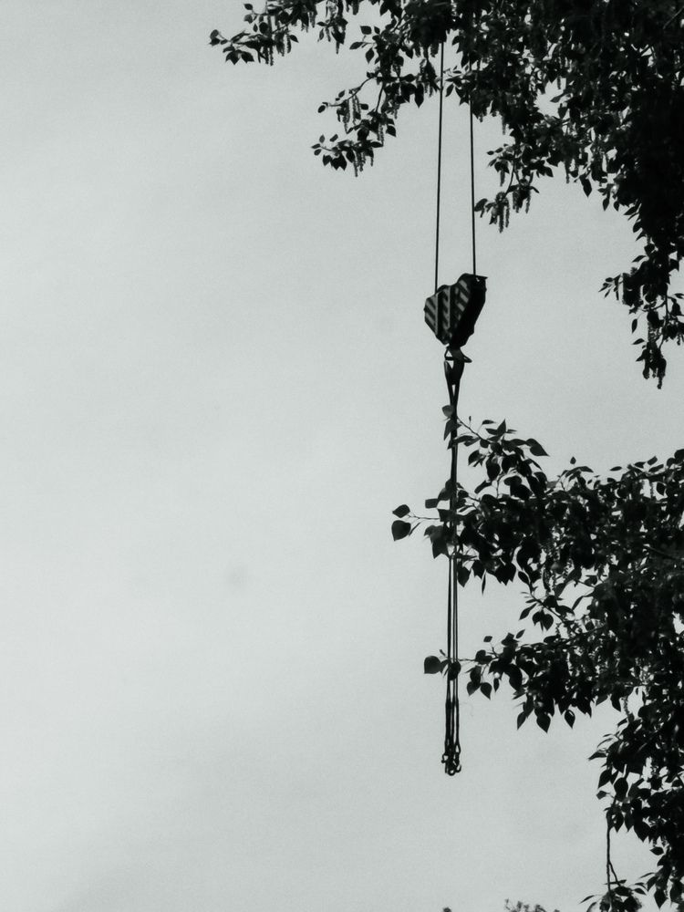 Photo #13680223