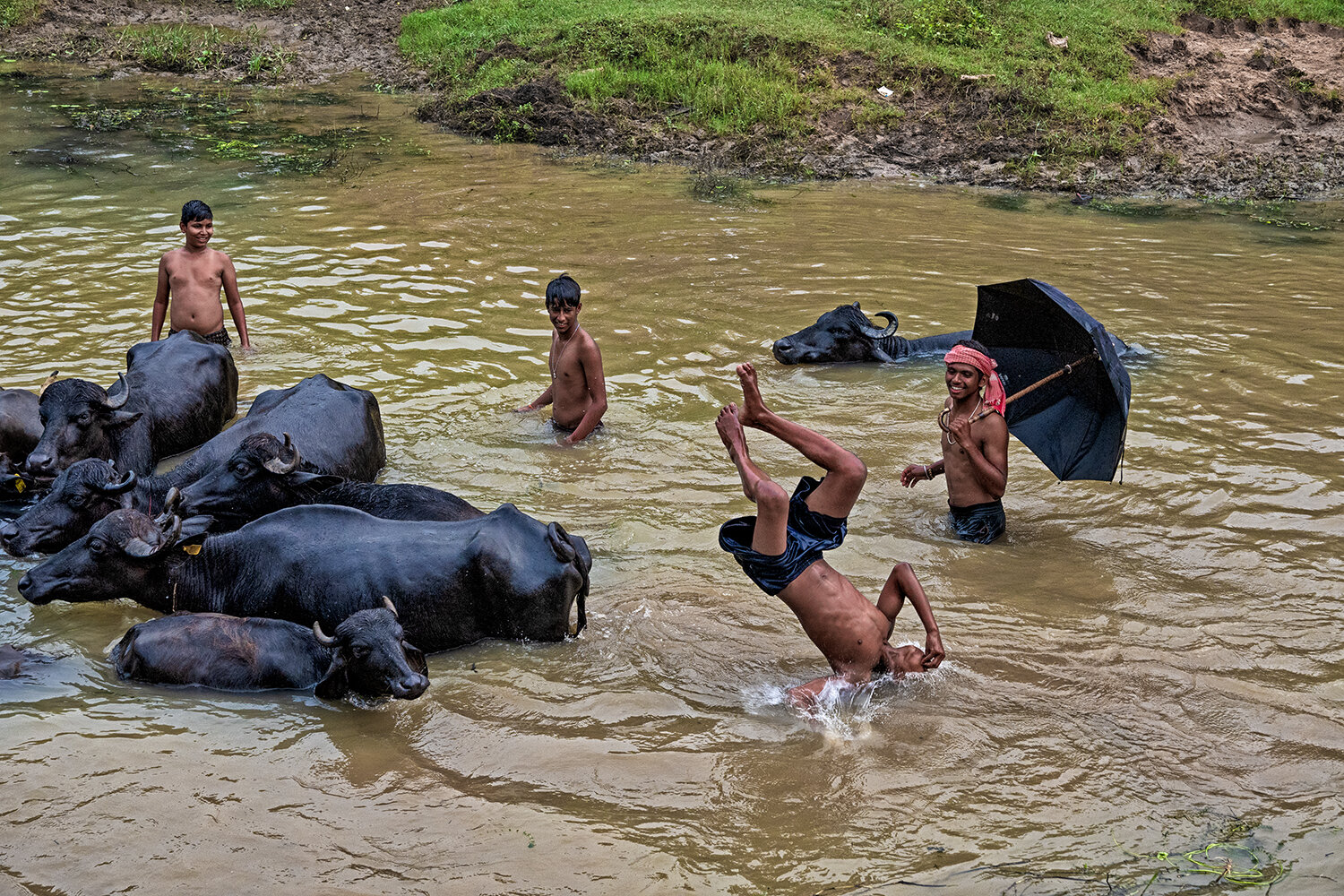 Monsoon Acrobats