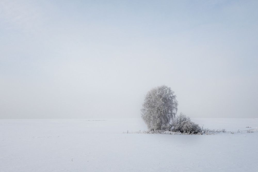 Photograph by Сим Алексей