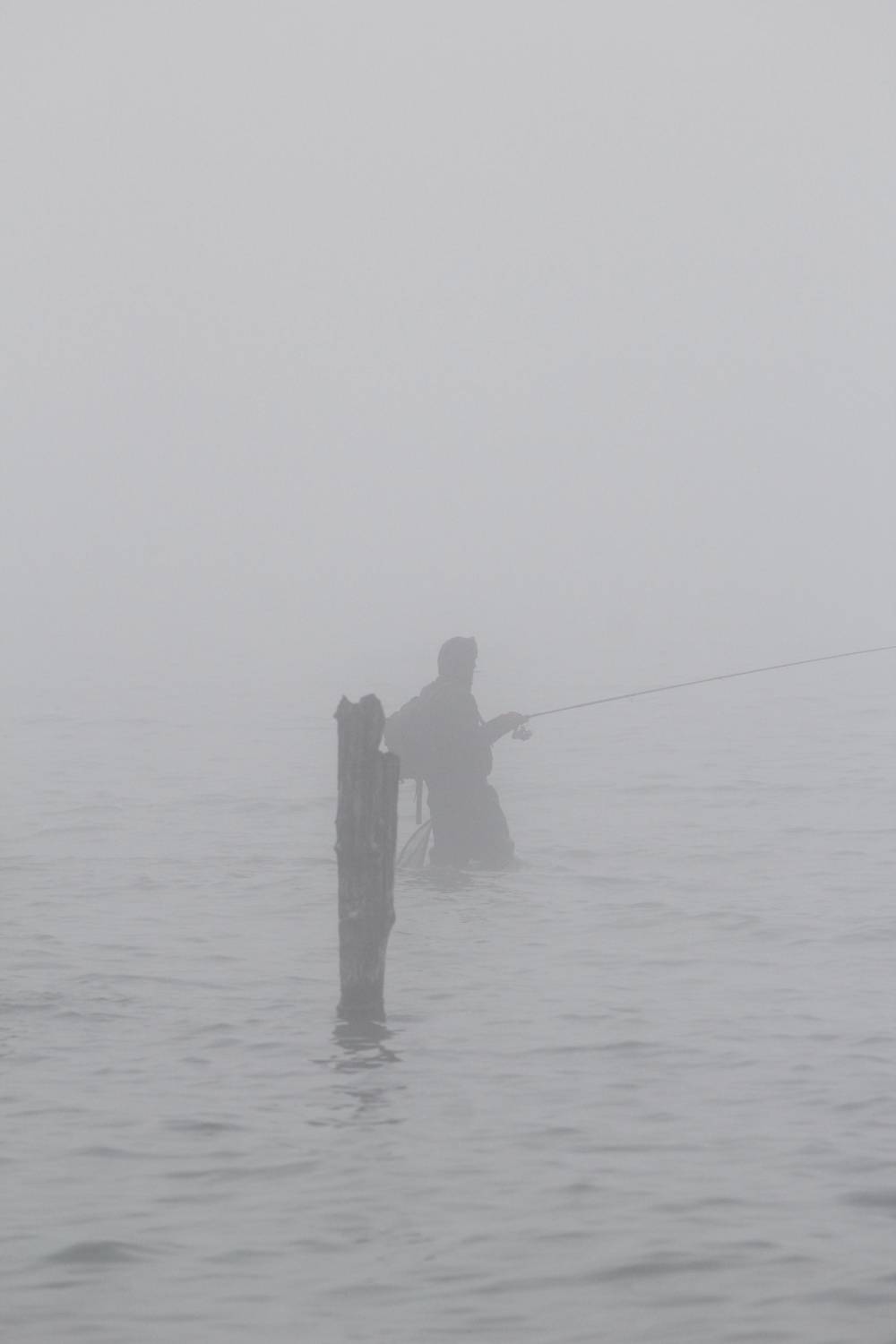 Photo #13680313