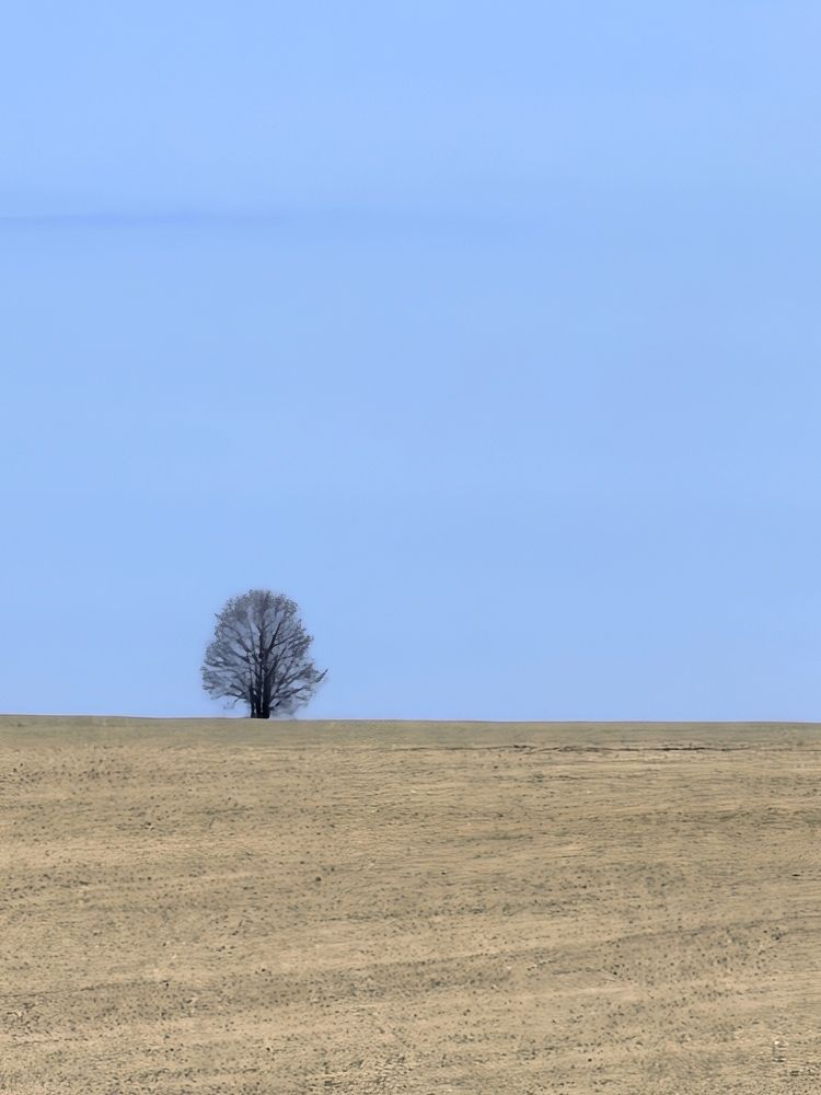 Photograph by Светлана