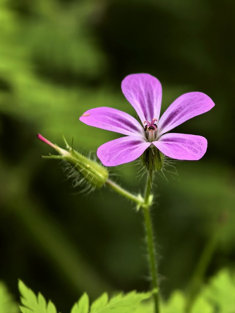 Photograph by Светлана