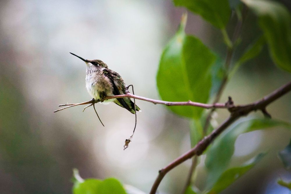 Photograph by Olga Vasina