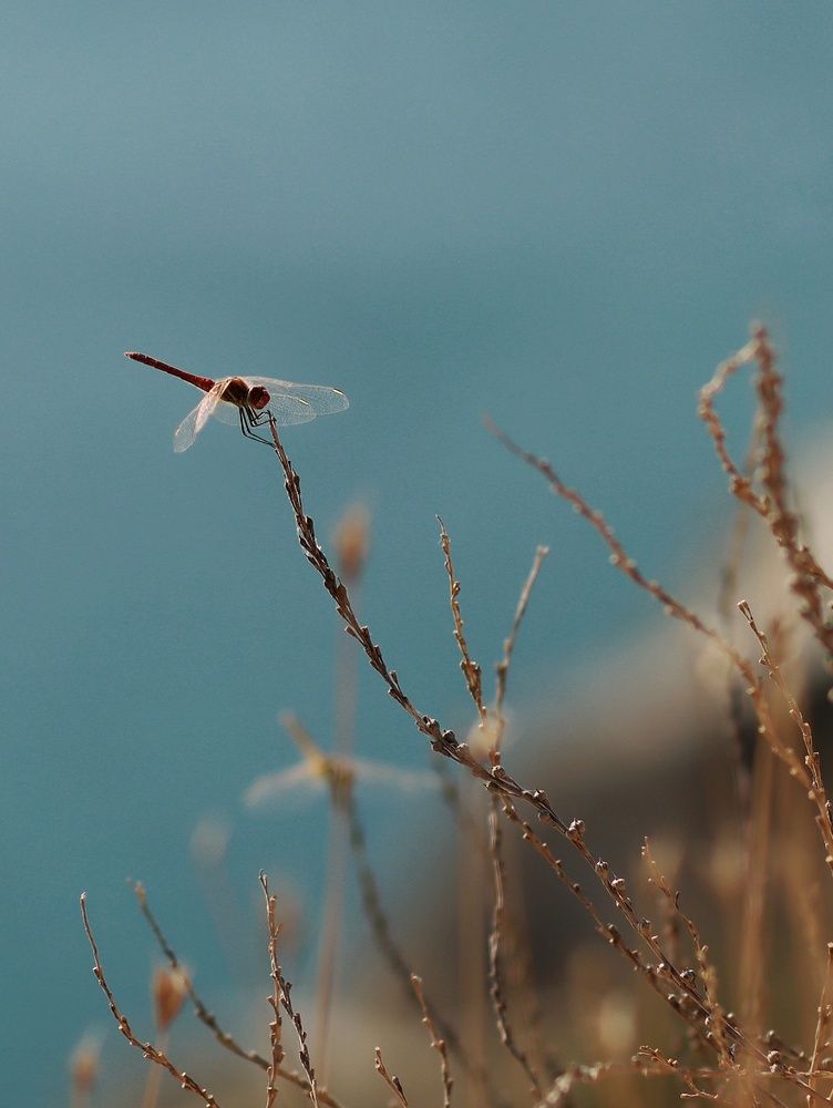 Photograph by Екатерина Зязина