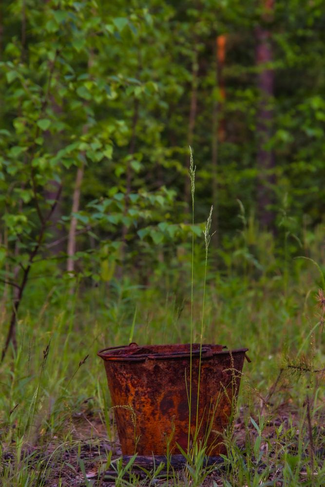 Photograph by Дмитрий Селицкий