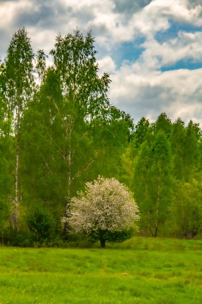 Photograph by Дмитрий Селицкий