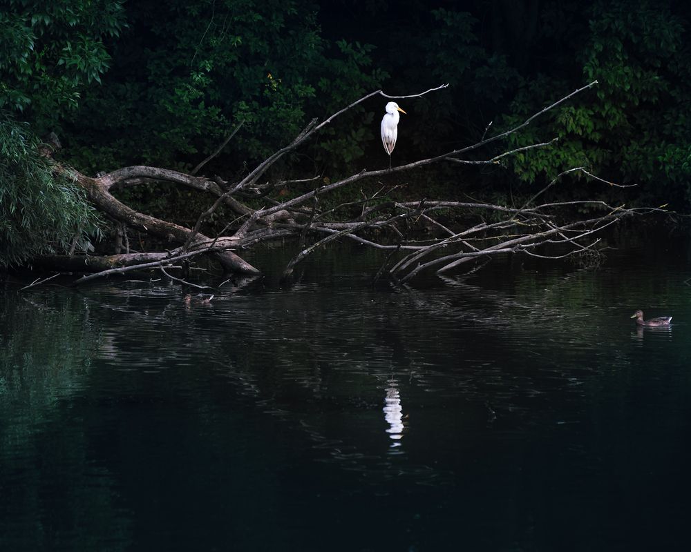 Photograph by Сергей Иваненко