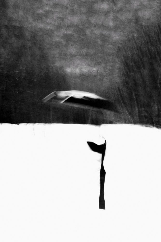 Photograph by Дарья Попова