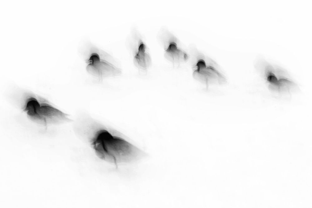 Photograph by Дарья Попова