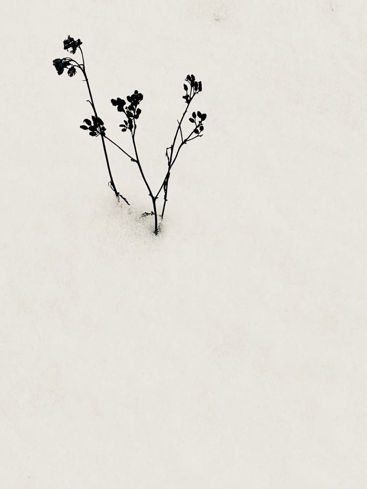 Photograph by Ирина Костюкевич