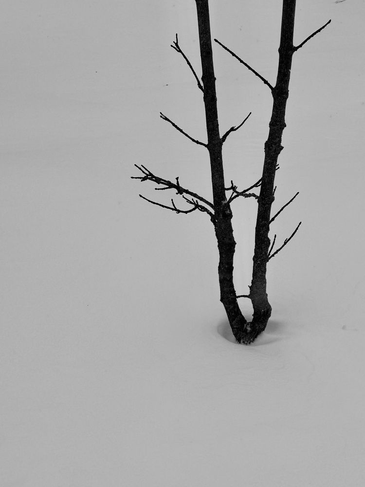 Photograph by Ирина Костюкевич