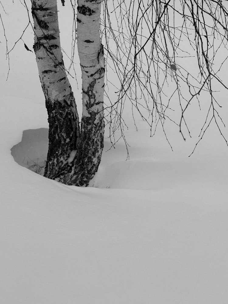 Photograph by Ирина Костюкевич