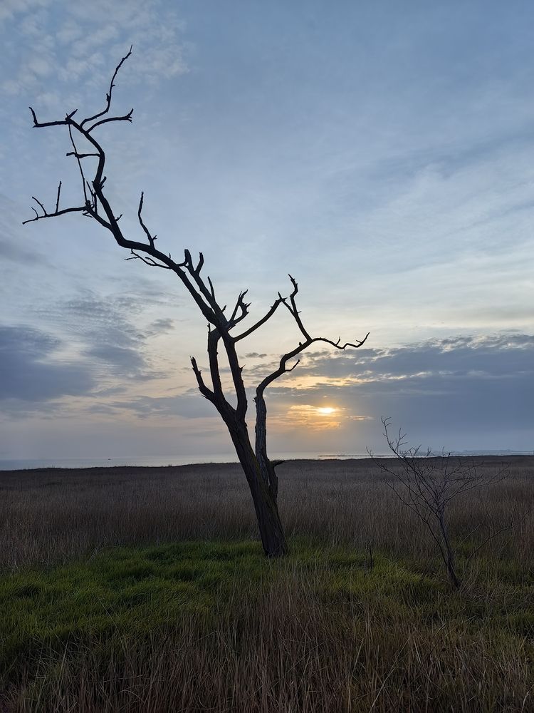 Photograph by Анастасия Кременчугская
