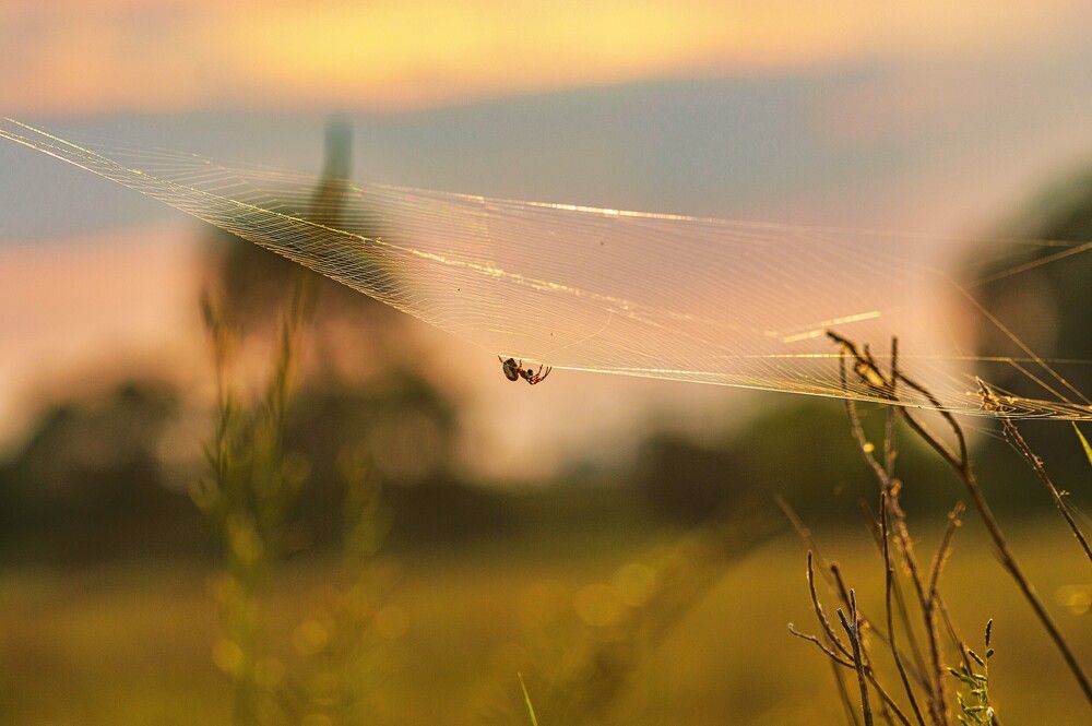Photograph by Алексей Сиваков