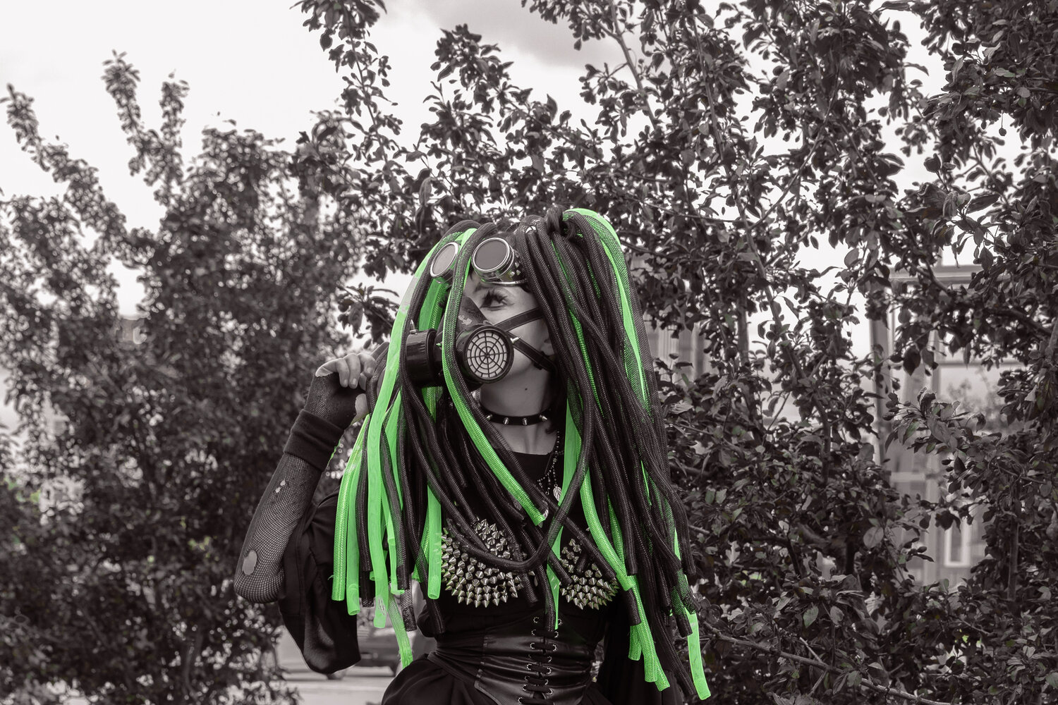 Photo #13680855