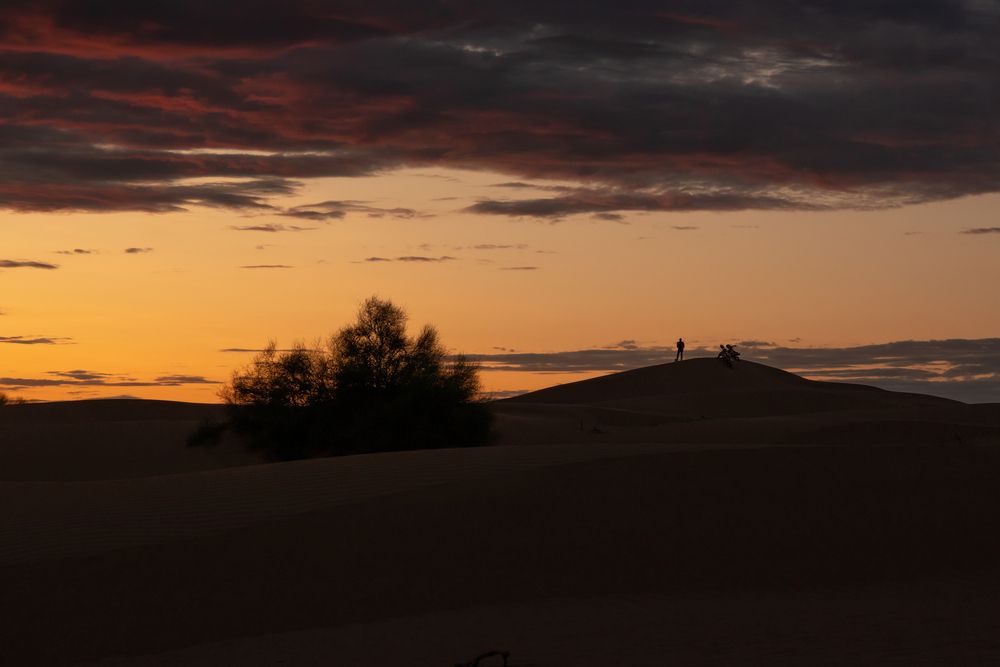 Photo #13680884