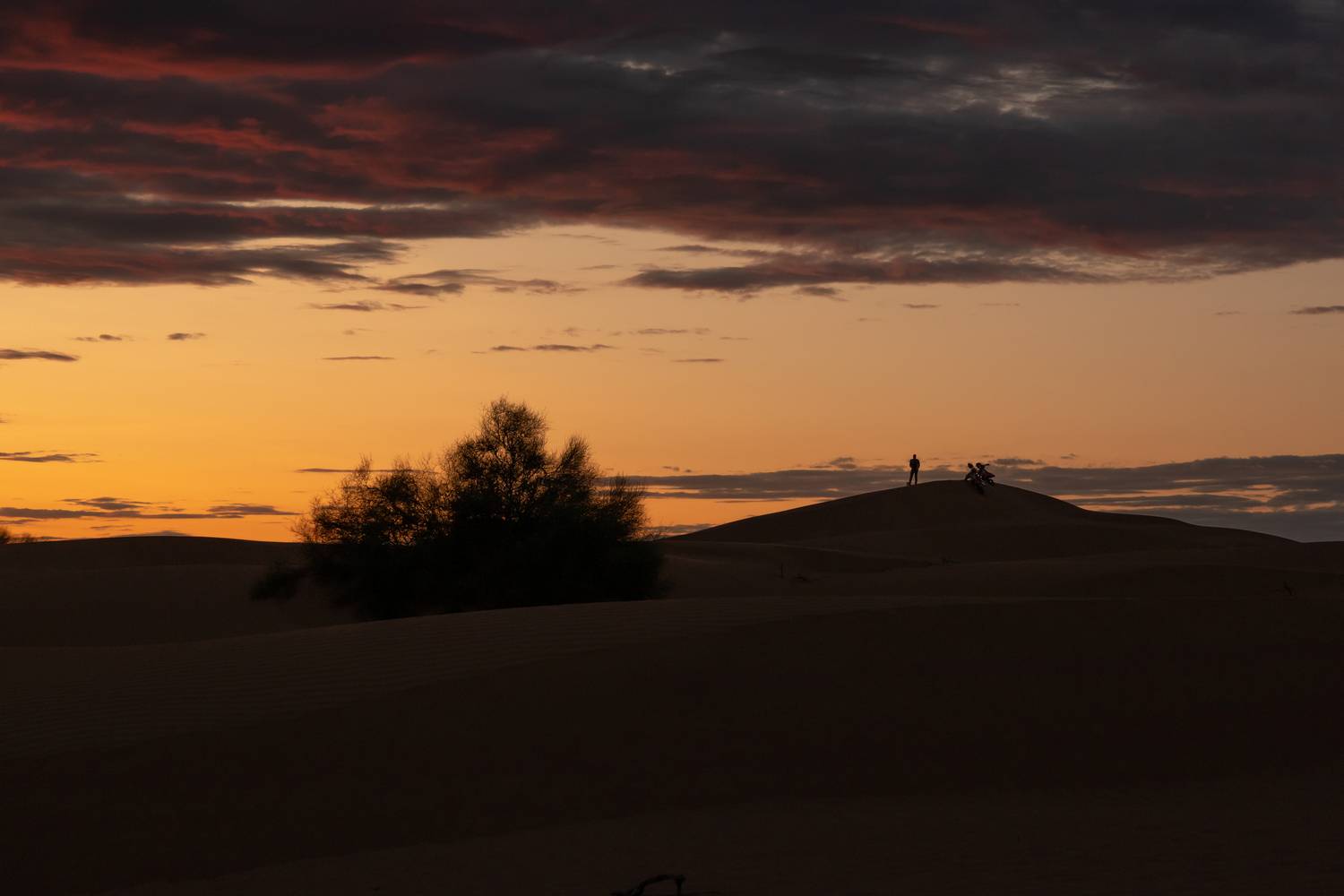 Photo #13680884