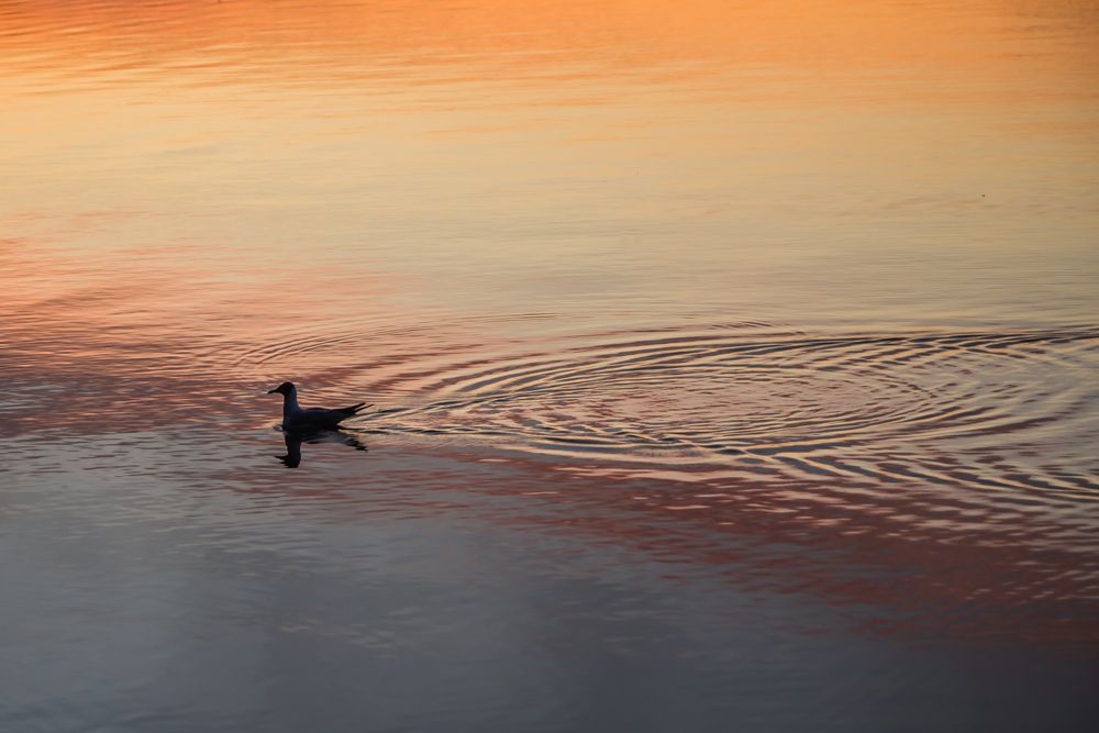 Photograph by Александр Суворов