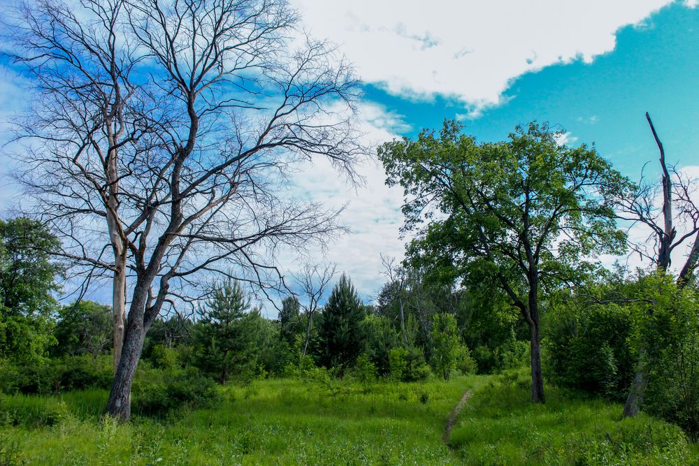 Photograph by Александр Суворов
