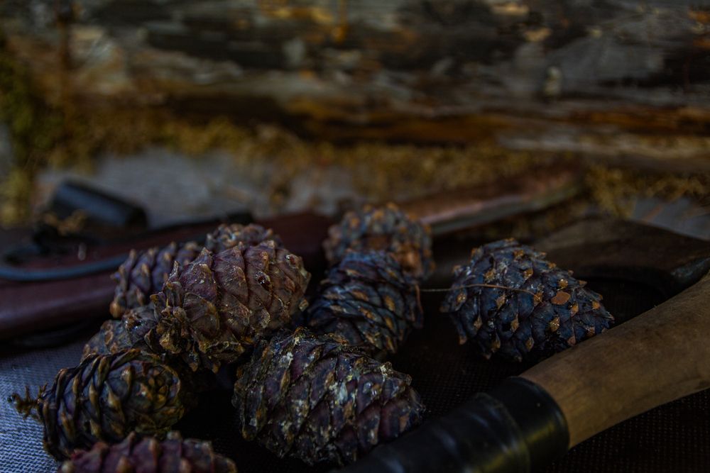 Photograph by Александр Суворов