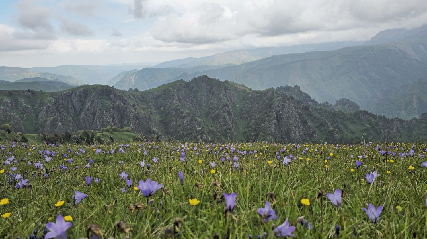 Photo #13681029