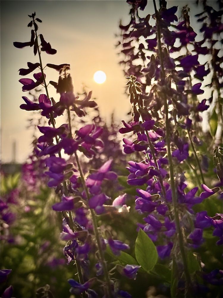 Photograph by Андрей Банников