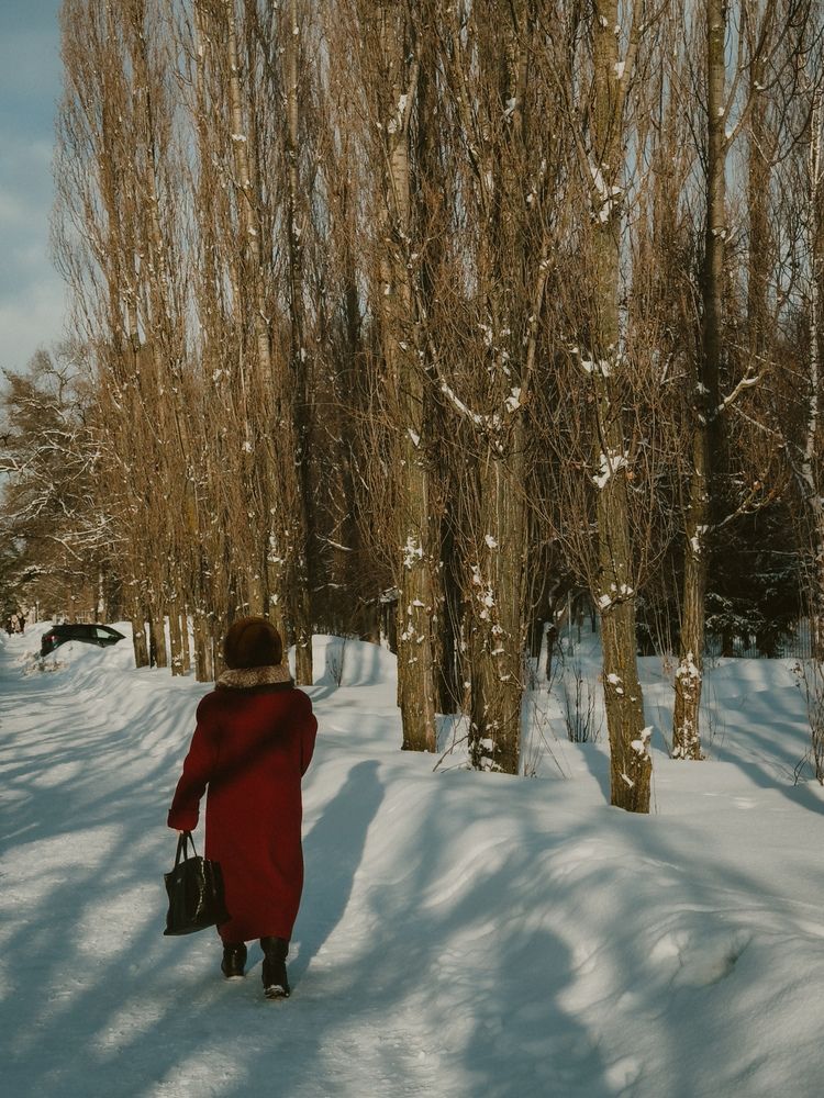 Photograph by Анастасия Терехова