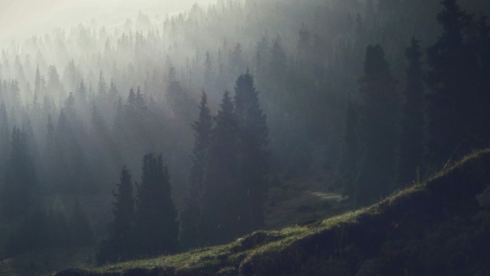 Photograph by Анна Семенова