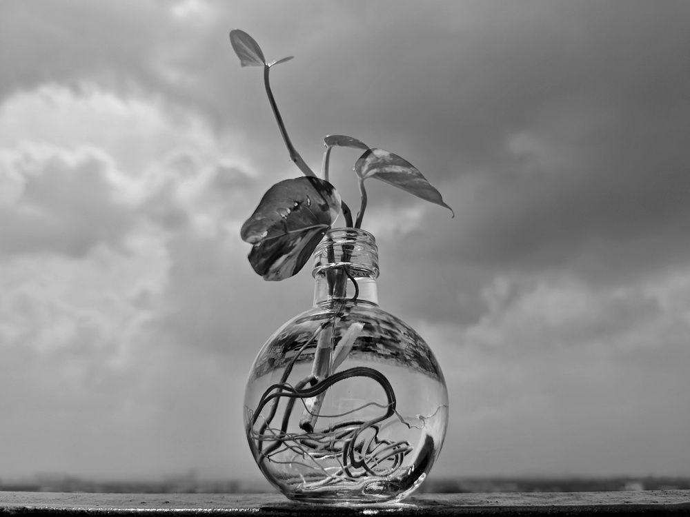 Photograph by Sahil Jadhav