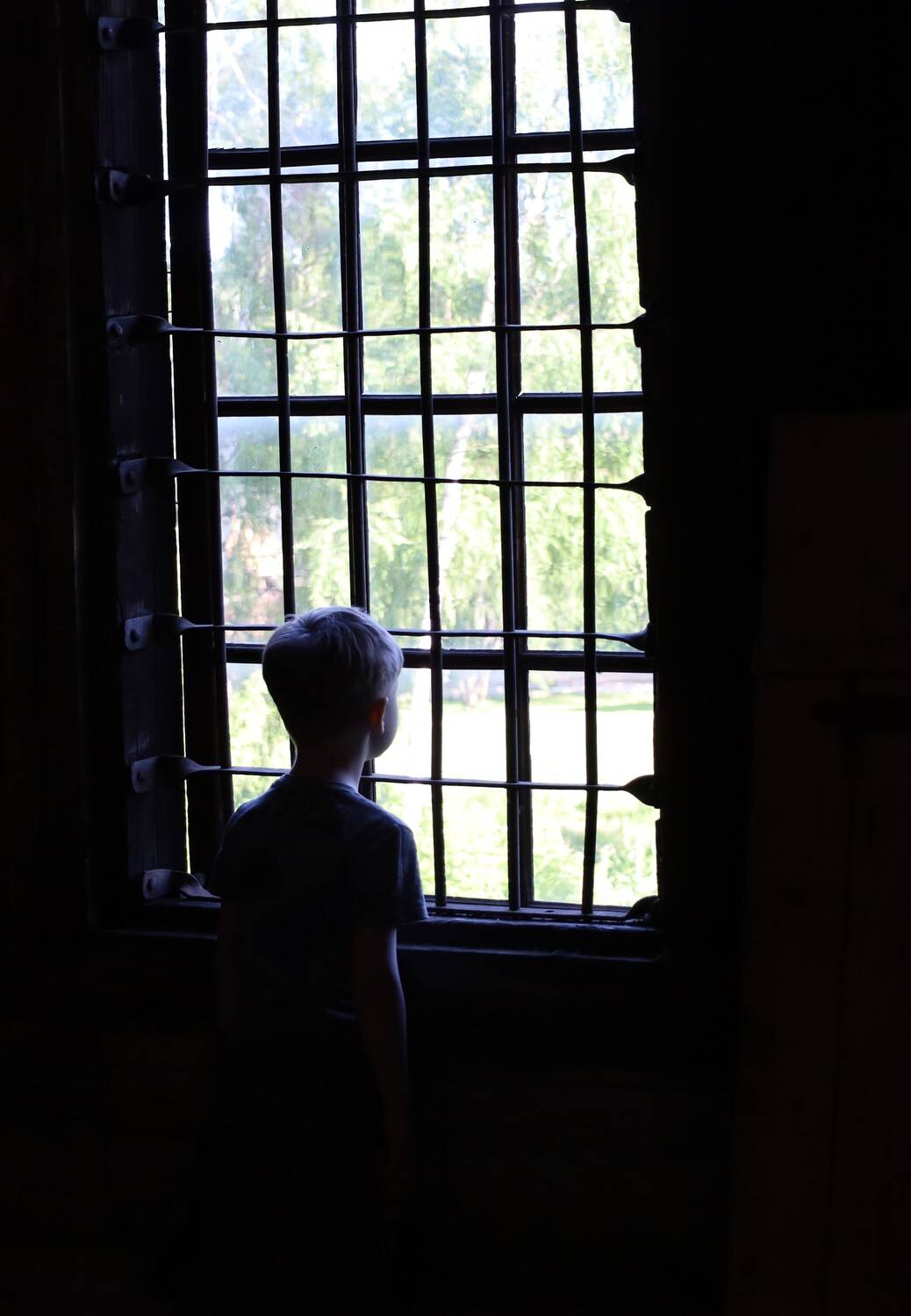 Photo #13681167